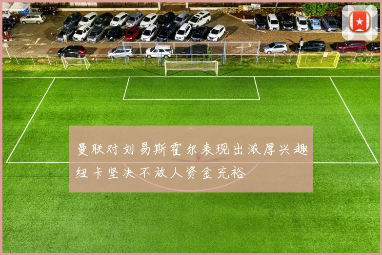 曼联对刘易斯霍尔表现出浓厚兴趣纽卡坚决不放人资金充裕